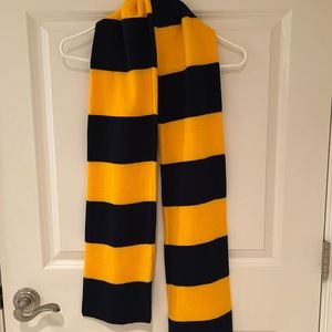 Blue and Gold Striped Knit Scarf